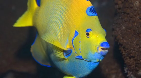 Sexta Sub: em ritmo de Copa 2010