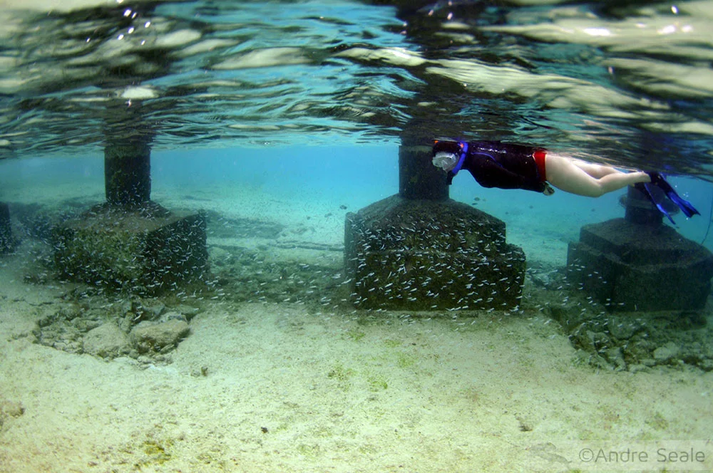 Snorkel em Cozumel - México - Caribe