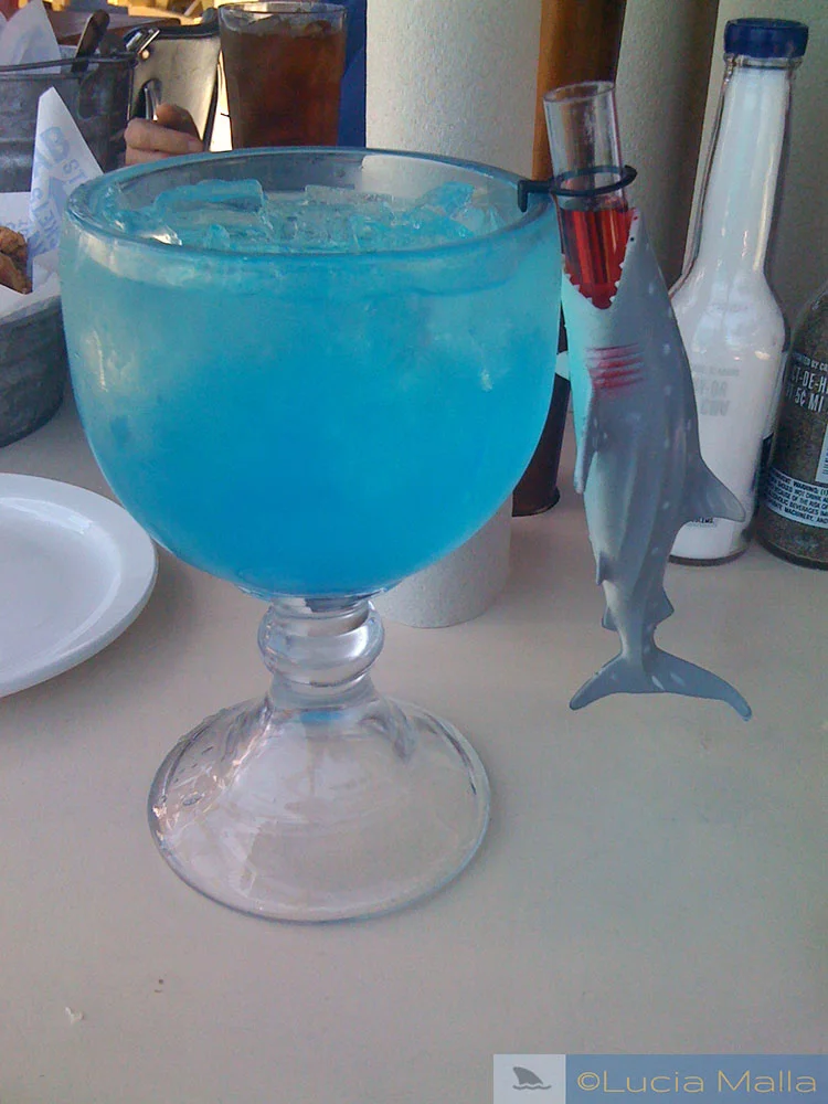 Shark Attack drink 