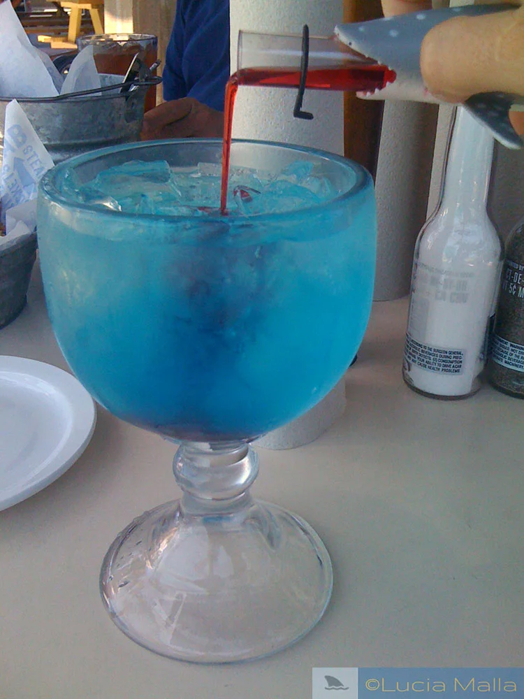 Shark attack drink