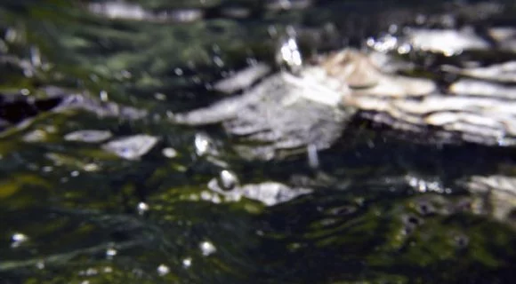 Sexta Sub: aguaceiro