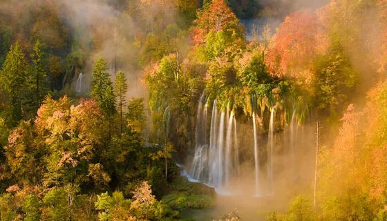 Minhas fotos prediletas do Wildlife Photographer of the Year 2010