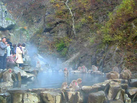 Dos Lados de Uma foto, Japanese Style