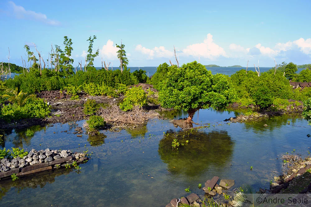 Canal de Nan Madol - Micronésia