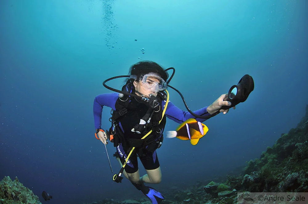 Interação cômica em Pohnpei