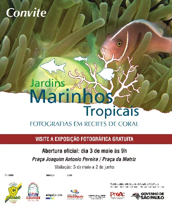 O mar chega ao interior de São Paulo