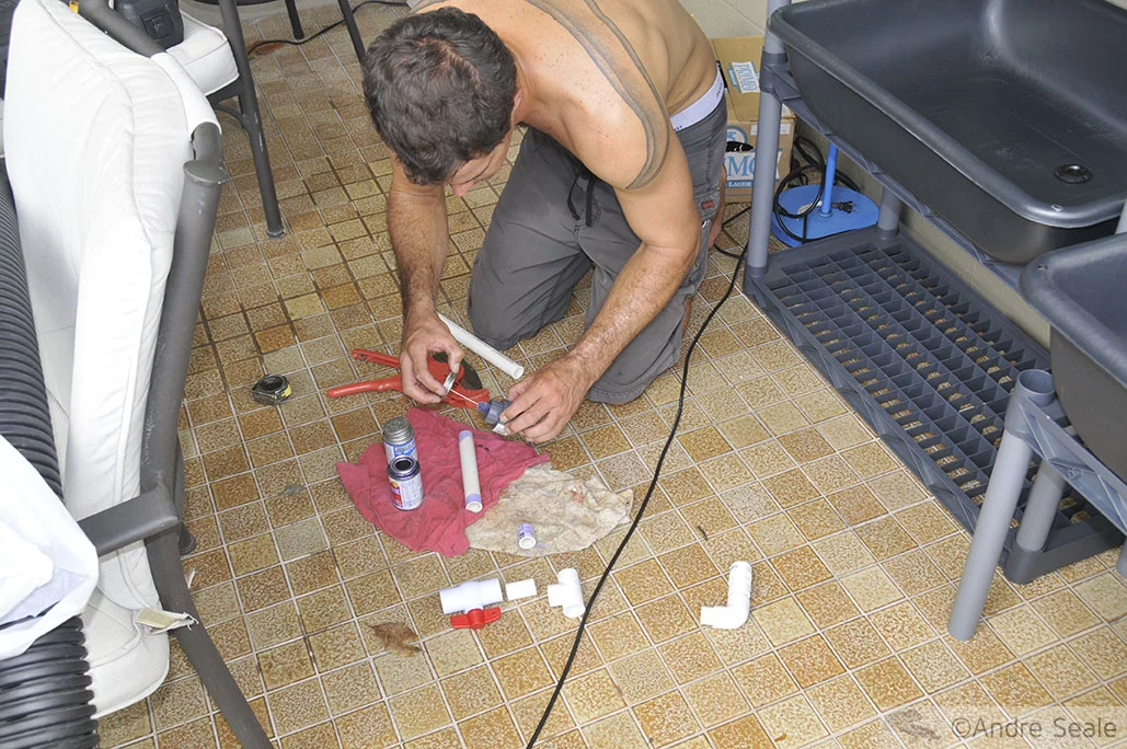 Montando o sistema de aquaponia