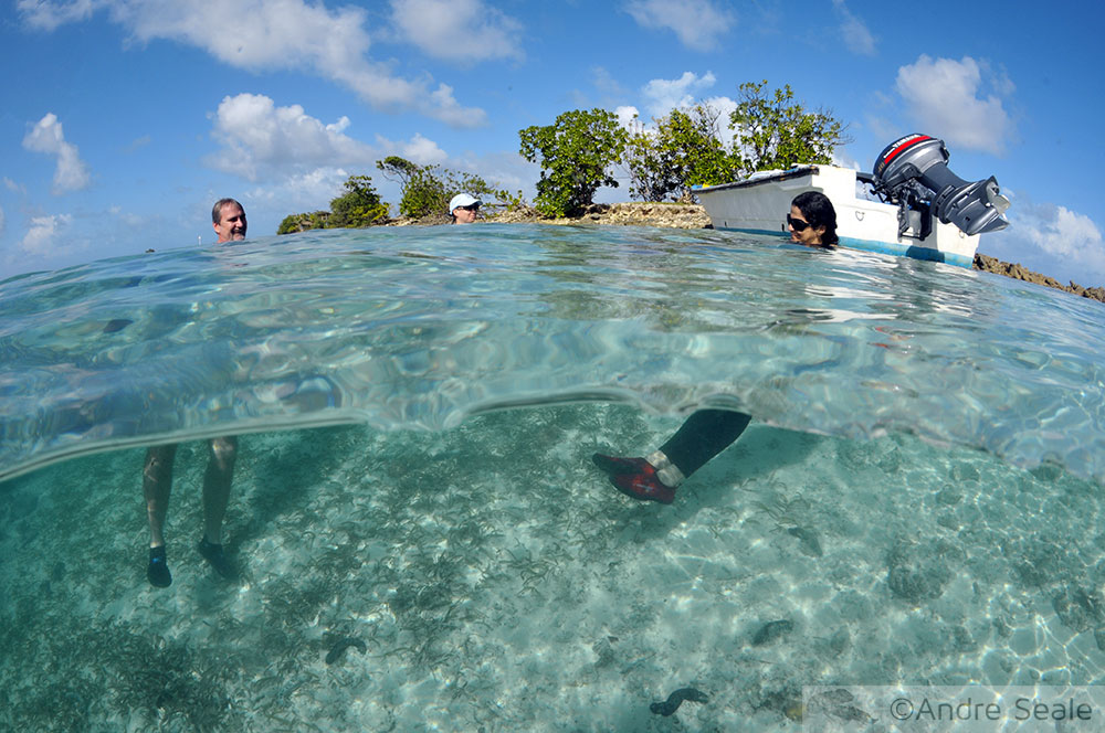 Barco quebrado em uma ilha deserta - Micronésia