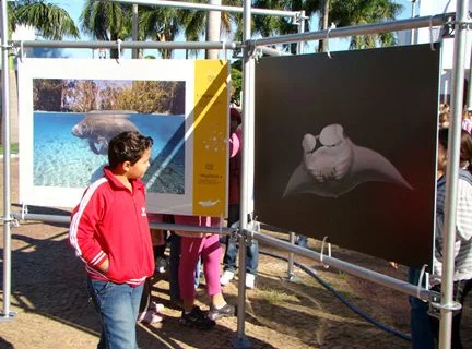 Exposição “Jardins Marinhos Tropicais” em Fernandópolis