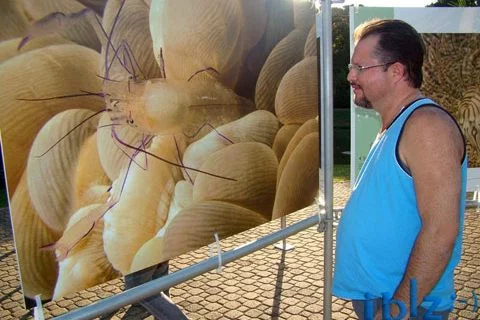 Exposição “Jardins Marinhos Tropicais” em Itápolis