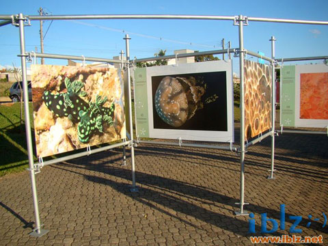 Exposição "Jardins Marinhos Tropicais" em Itápolis - SP