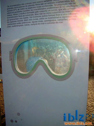 Exposição "Jardins Marinhos Tropicais" em Itápolis