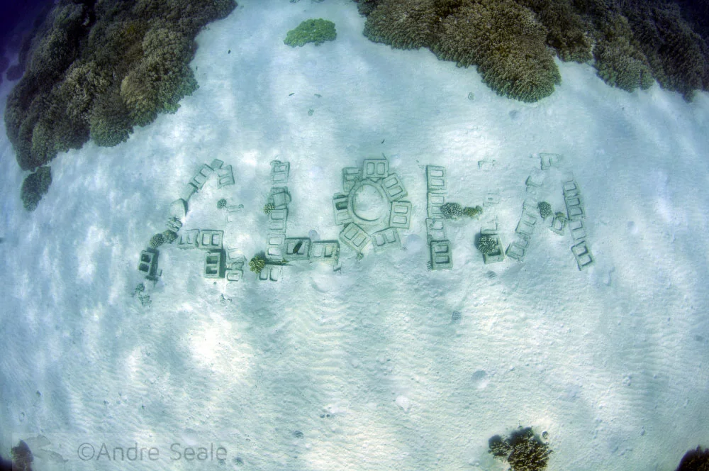 Aloha underwater