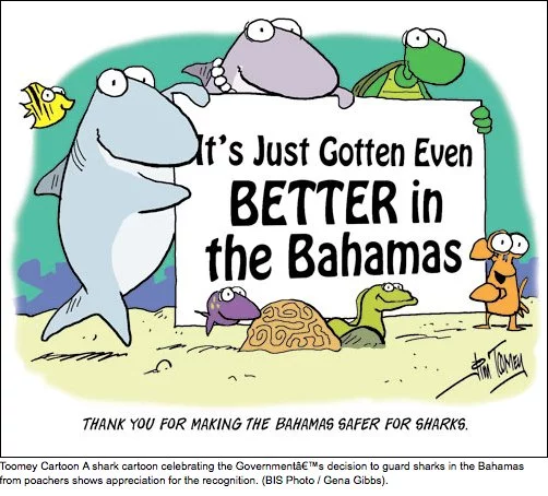Bahamas - proibição da pesca de tubarões - Sherman's Lagoon