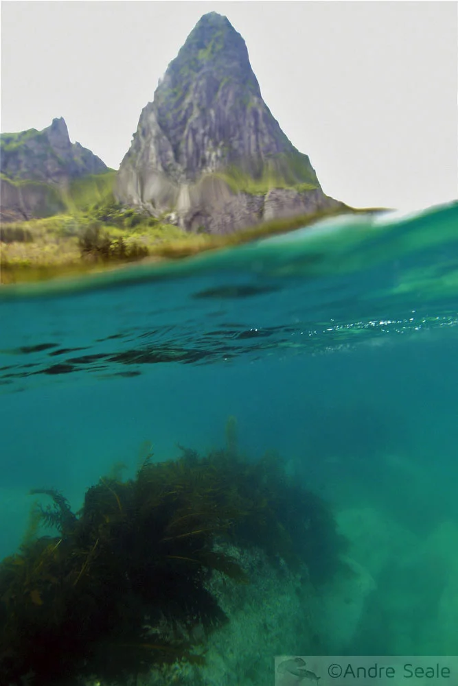 Snorkel em Songgot - Ulleungdo
