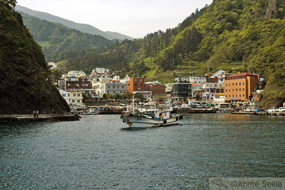Dodong - Ulleungdo