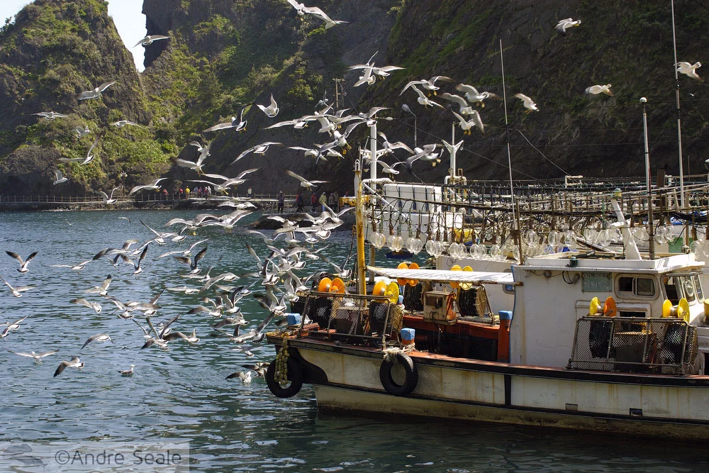 Ulleung-do - barco de pesca de lulas