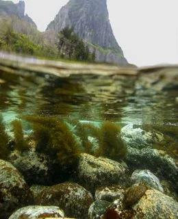 Sexta Sub: costão rochoso