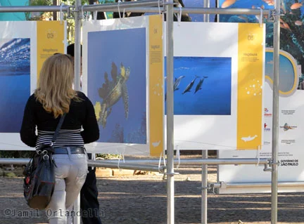 Exposição “Jardins Marinhos Tropicais” em Votuporanga