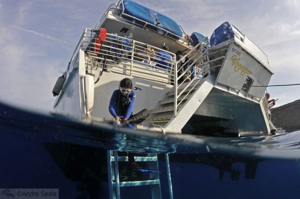 Sexta Sub - Stairway to heaven