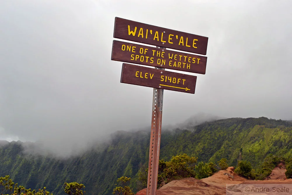 Waialeale - Kauai