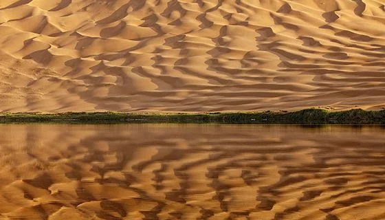 Minhas fotos prediletas – Wildlife Photographer of the Year 2011