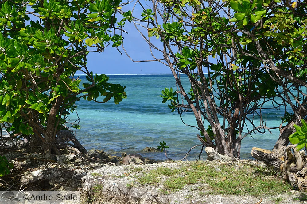 Oceano Pacífico sul