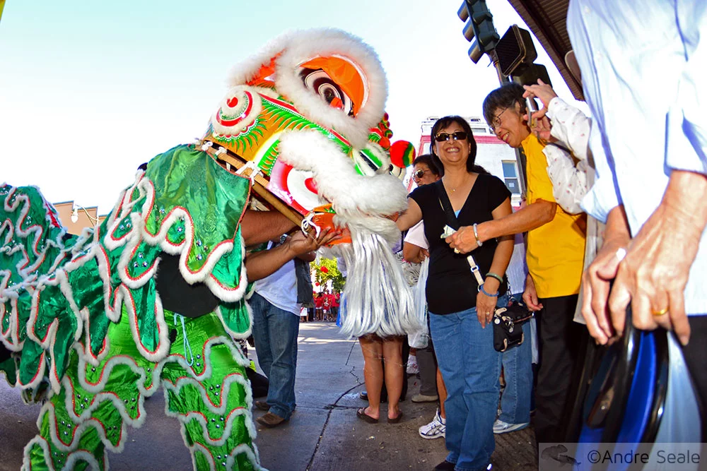 Dragão - ano novo chinês