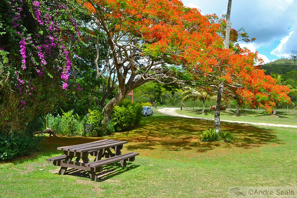 Entrada do Parque Nacional Dunas de Sigatoka