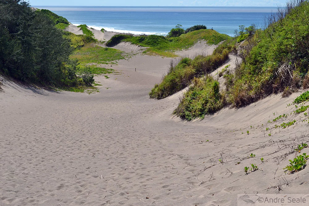 Dunas de Sigatoka - Fiji