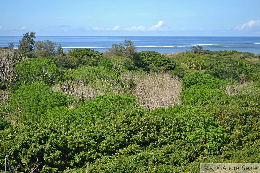 Mirante cênico - Dunas de Sigatoka