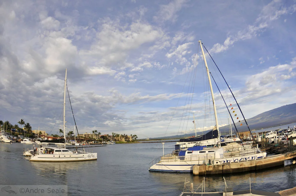 Píer de Maalaea - Maui