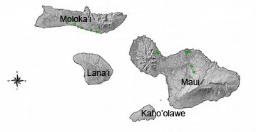 Mapa do município de Maui - Havaí