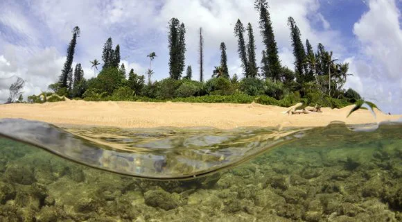 Sexta Sub: Îlot de Tibarama, Nova Caledônia