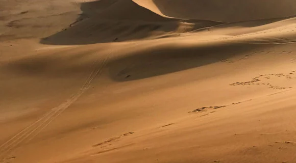 Pequenas anotações de viagens virtuais 64