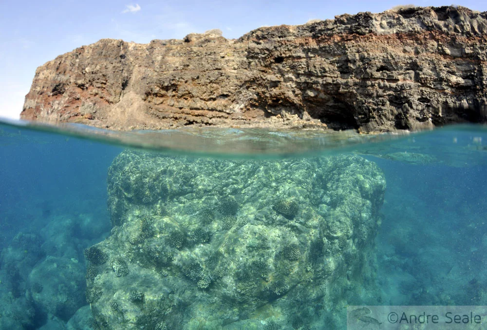 Snorkel no Havaí - Lanai