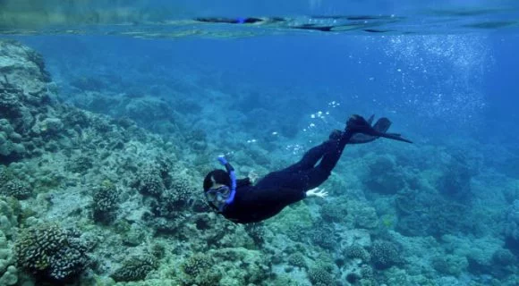 Meus top 10 points de snorkel no Havaí