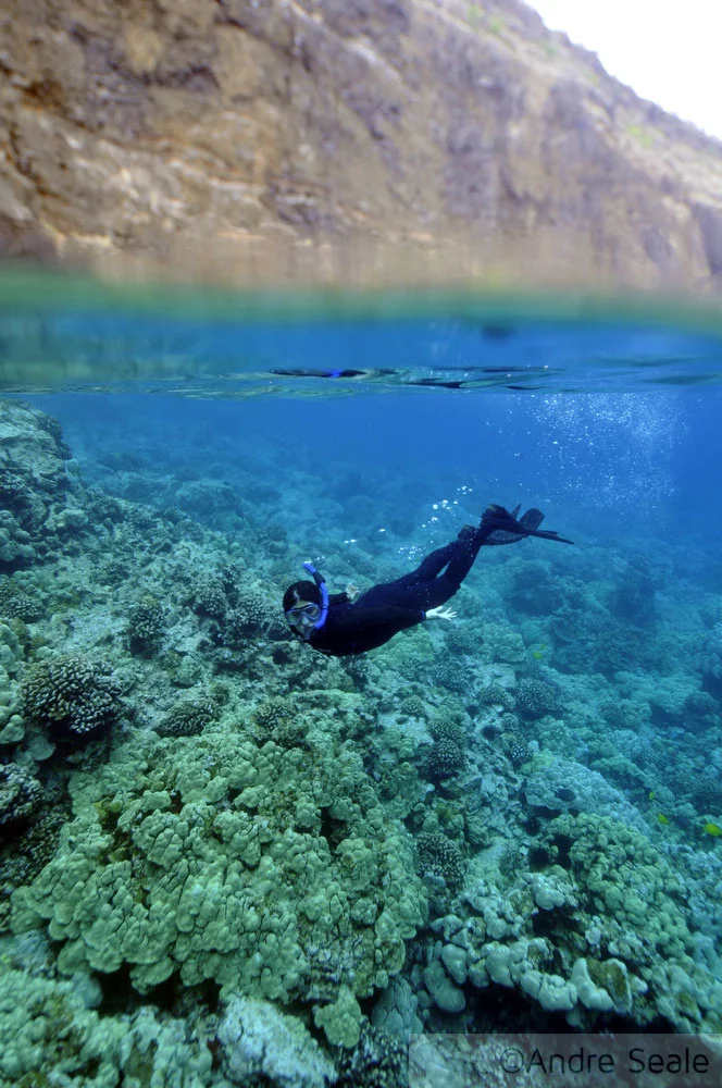 Snorkel em Kealakekua Bay