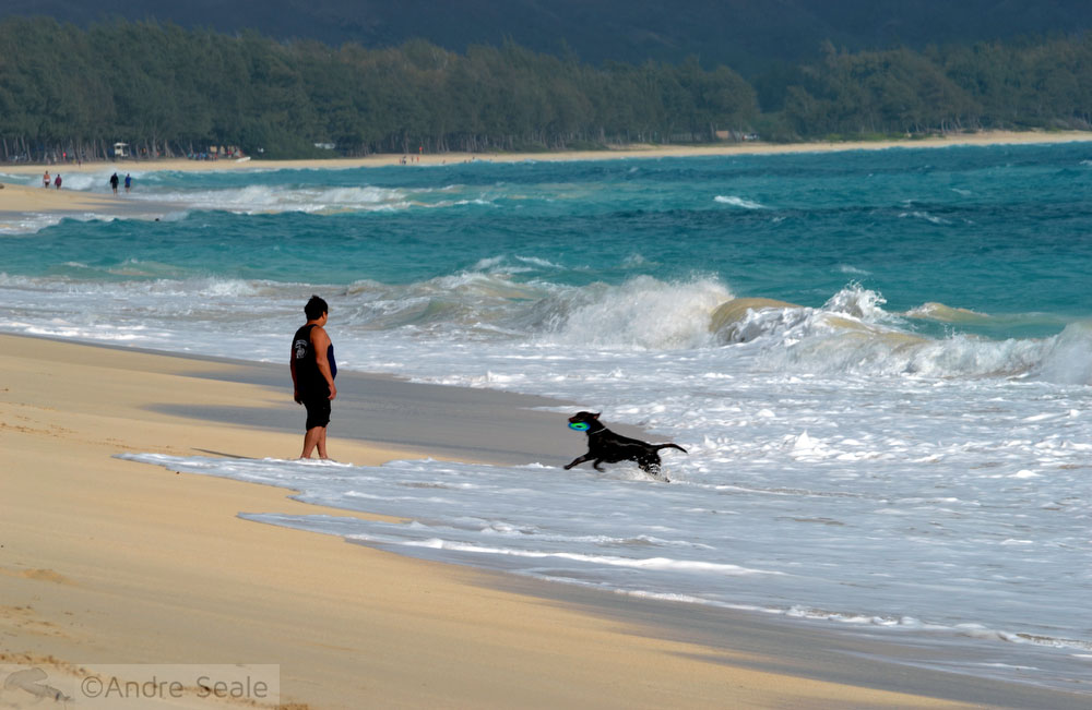 Três praias havaianas entre as mais bonitas dos EUA
