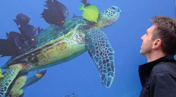 Uma foto do André na Exposição “Wild Planet” em Londres