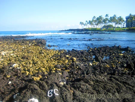 Roteiro de viagem ao Hawaii