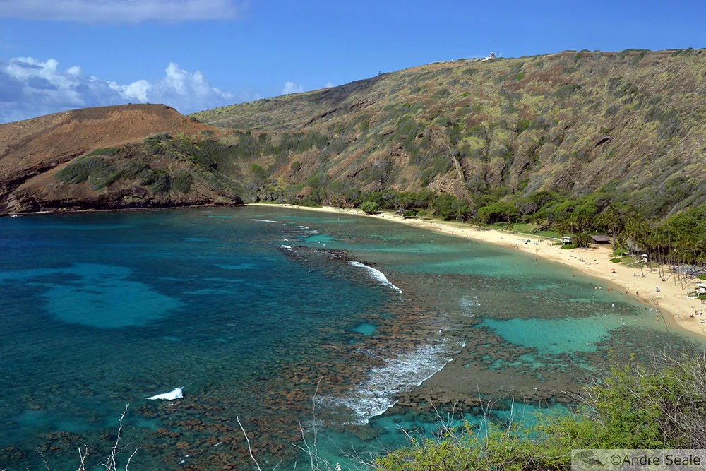 Mallas na TV - em Hanauma Bay
