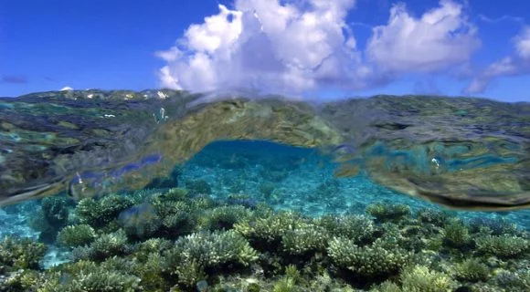 Sexta Sub: Dia Mundial dos Oceanos 2012