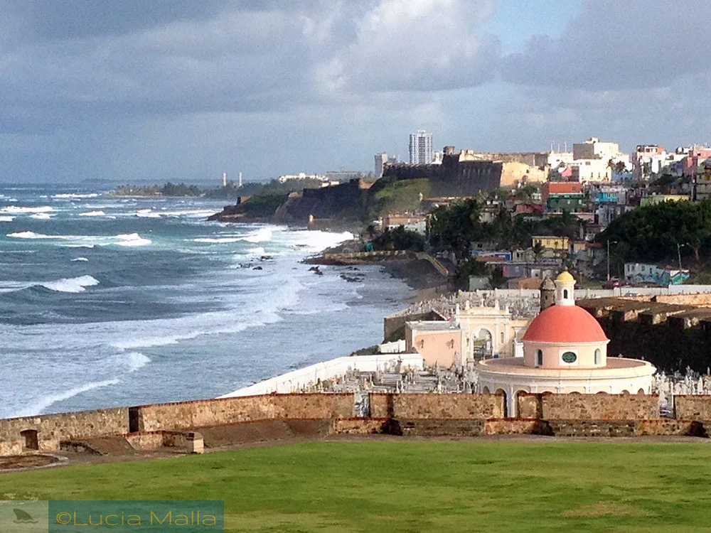 Por que viajar para Porto Rico