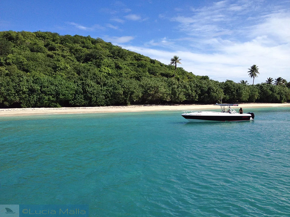 Ilha Palomino - Fajardo - Porto Rico