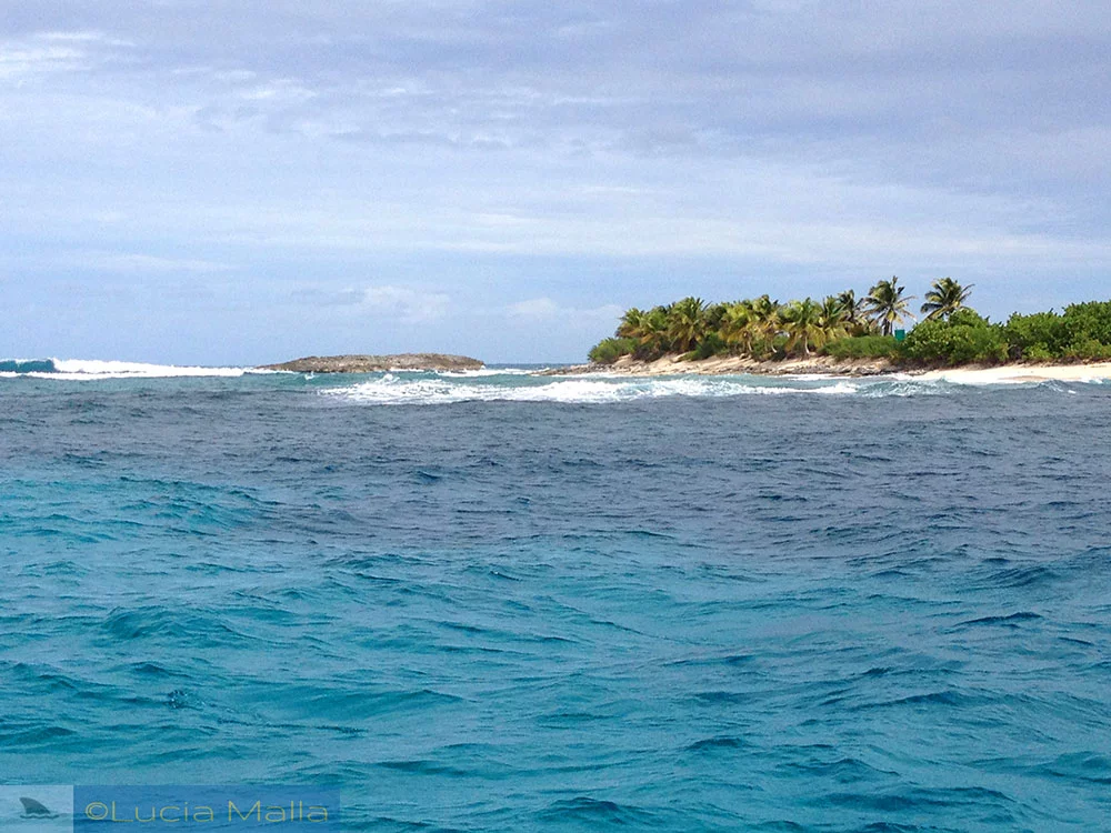 Mergulho em Fajardo - Porto Rico
