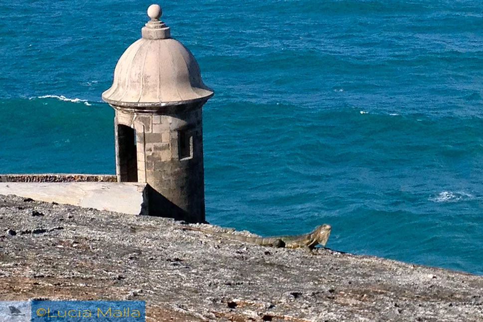 Ícone de San Juan - torre