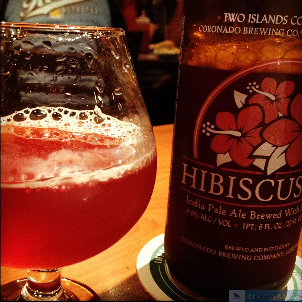 Cerveja de hibisco