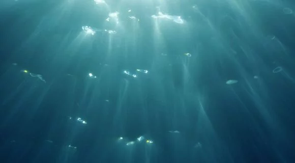 Sexta Sub: efeito catedral