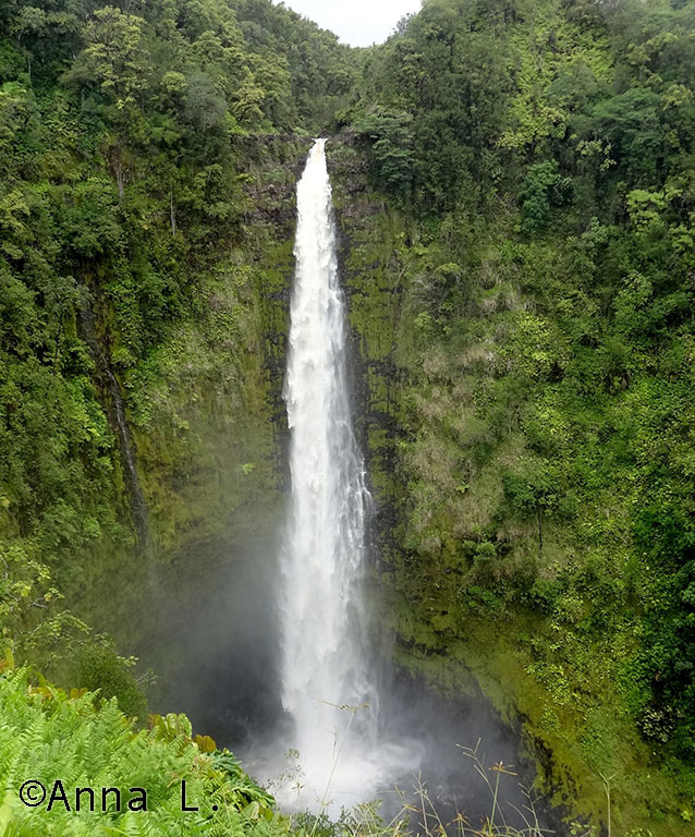 15 dias no Havaí da Anna - Akaka Falls